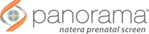לוגו Panorama Test